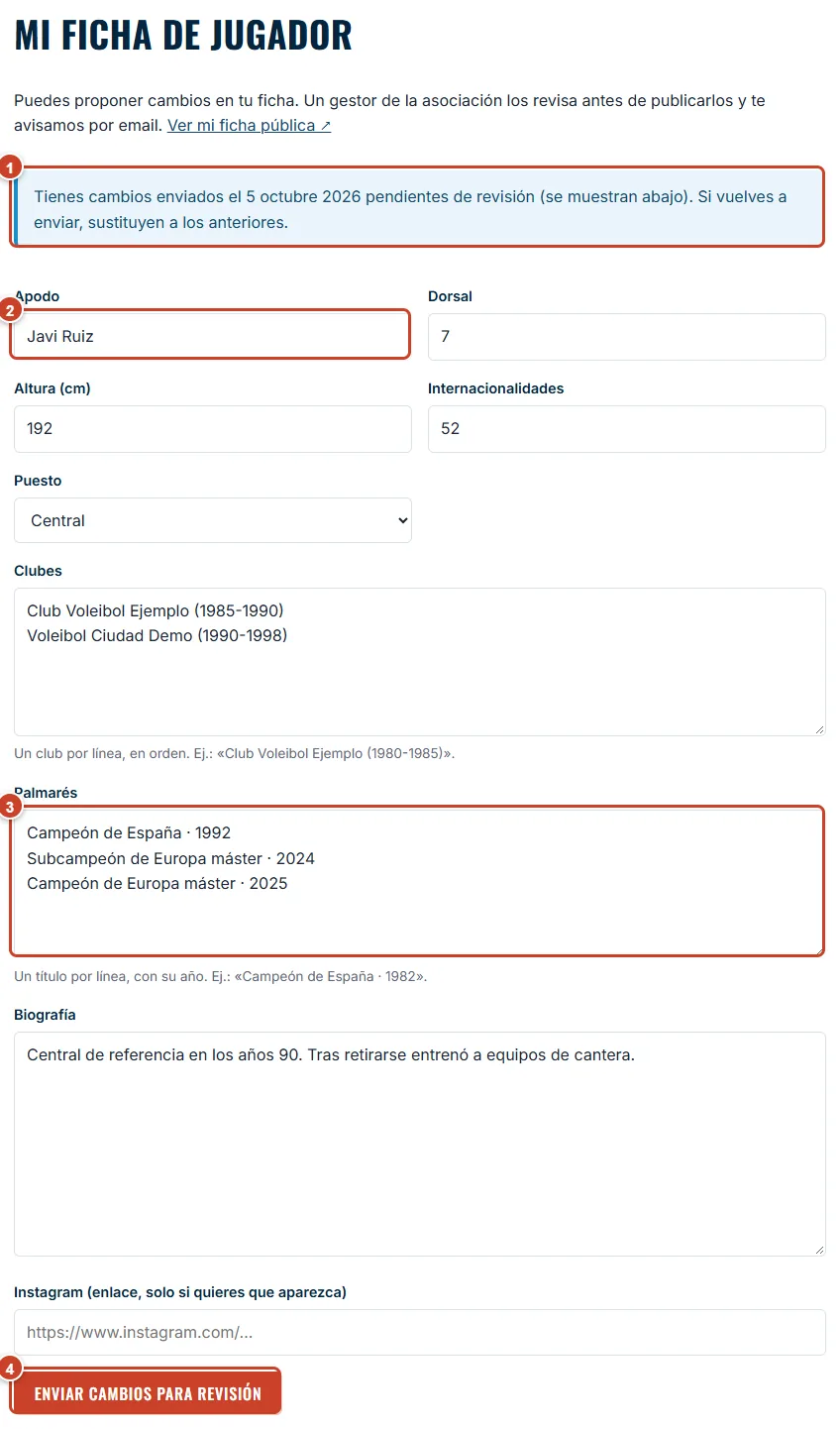 Mi ficha de jugador